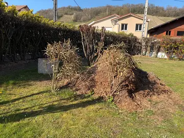 Broyat de végétaux