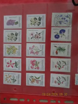 15 timbres neufs "Fleurs" Argentine