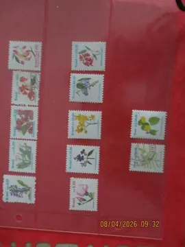 12 timbres neufs "Fleurs" Brésil