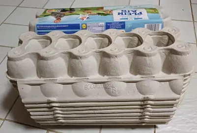 10 boîtes pour 12 œufs grises