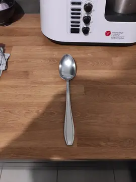 cuillère de service longueur 30 cm