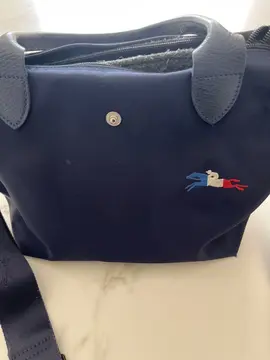 sac à main petit pliage longchamp