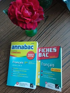 Prépa Bac Français