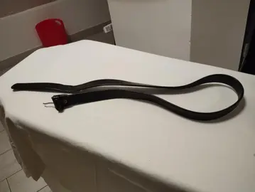 ceinture sans boucle