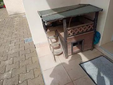 cabane pour chats