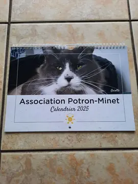 calendrier pour photo chat