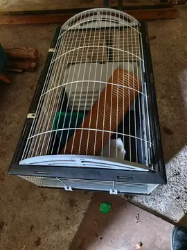 cage lapin nain/ grand rongeurs