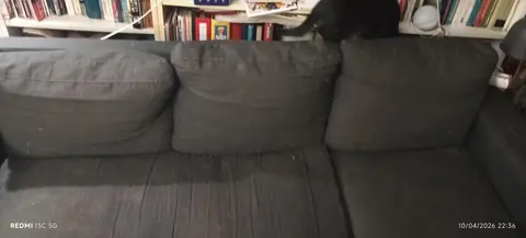 canapé 3 pl. gris, A nettoyer + housse. assise correcte. griffes sur accoudoir