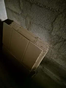 15 cartons déménagement neufs