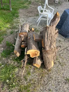 bonjour je propose des bûches et tronc de thuya avant que j’amène ça à la déchèterie