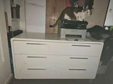 Commode laquée blanche