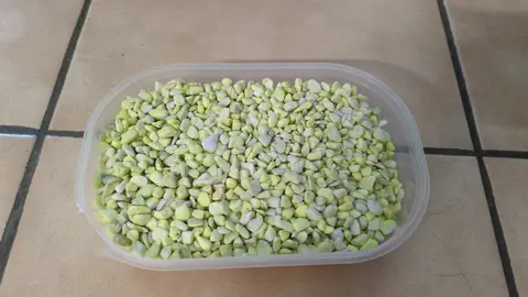 Gravier pour aquarium