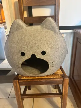 maison pour chat ou petit chien