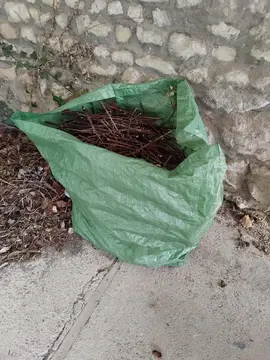 Bois sec pour allumage cheminée