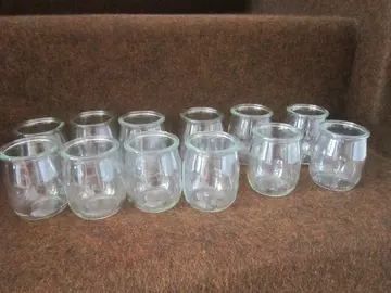 10 pots yaourts vides
