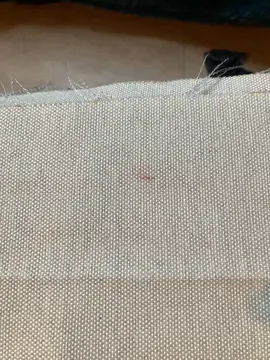 coupon de tissu 1 m x 1, 20m