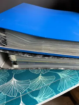 Lot de 3 classeurs avec pochettes plastiques et portes vues