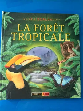 LA FORET TROPICALE
