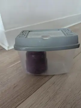 petit aquarium de transport