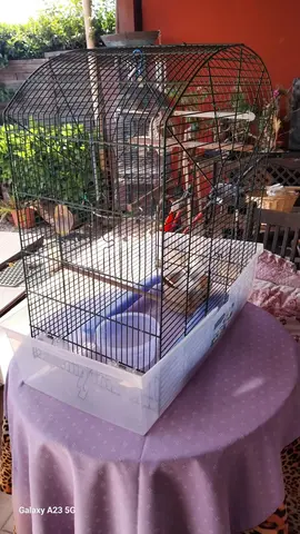 cage à oiseaux