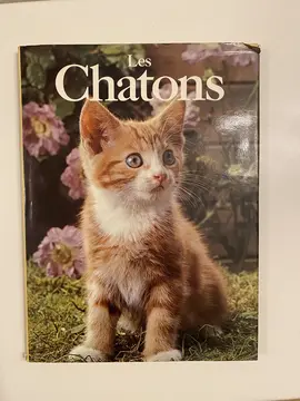 Livre Chatons