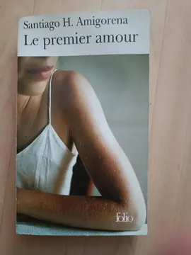 Roman : Le premier amour, SH Amigorena