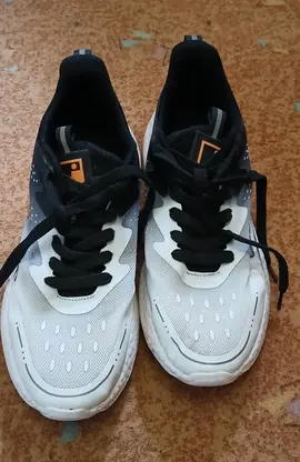 Basket Homme taille 45