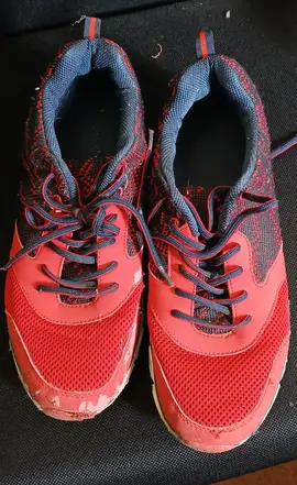 Basket homme Taille 44