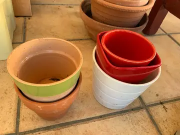 cache-pots