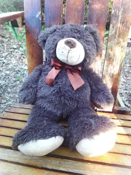 Nounours à câliner :)