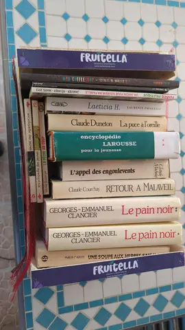 Lot de livres et romans divers thèmes