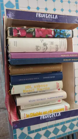 Lot de livres et romans divers thèmes