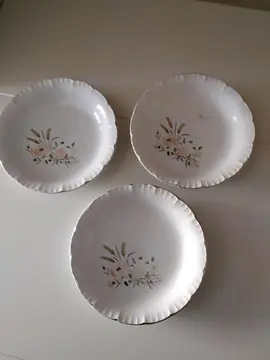 3 assiettes plates anciennes " Sarreguemines "