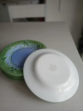assiettes (10) en arcopal