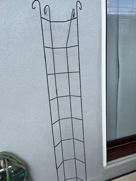 Treillis pour plante grimpante