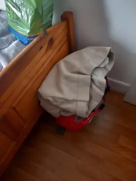 vetement et chaussutes