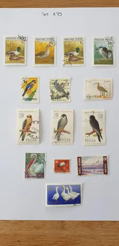 Lot A79 Monde thème oiseaux