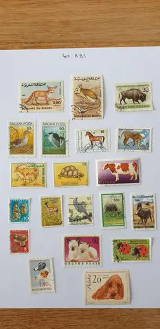 Lot A81 Monde thème animaux