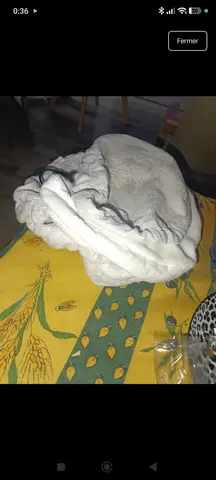 lot 8 house balai vapeur ou lavage au sol triange