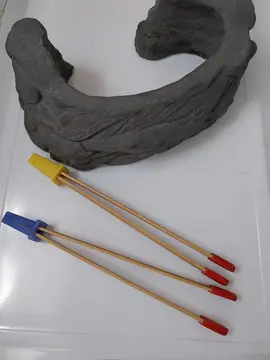 accessoires vivarium, terrarium