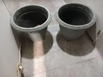 jardiniéres avec supports et deux gros pots avec plateaux à roulettes