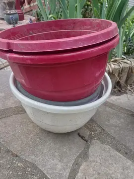 lot 5 coupes à fleurs