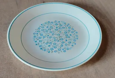 assiette plate ∅25cm