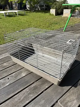 cage lapin