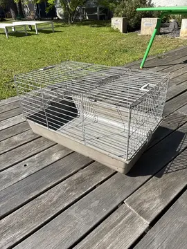 cage lapin