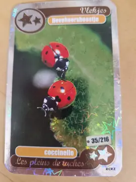 Cartes Delhaize "les héros de notre planète"