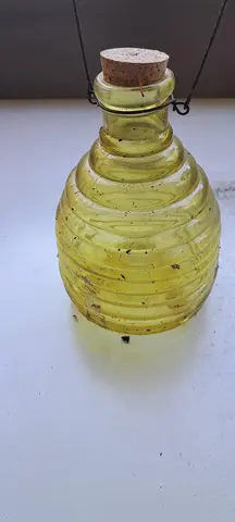 piège a guêpes ou frelons