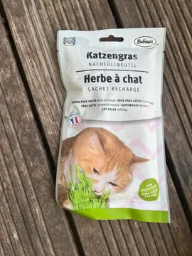 sachet herbe a chat neuf