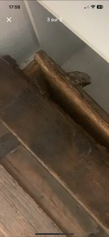 malle en bois à retaper