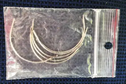 LOT SIX AIGUILLES COURBES POUR COUTURE